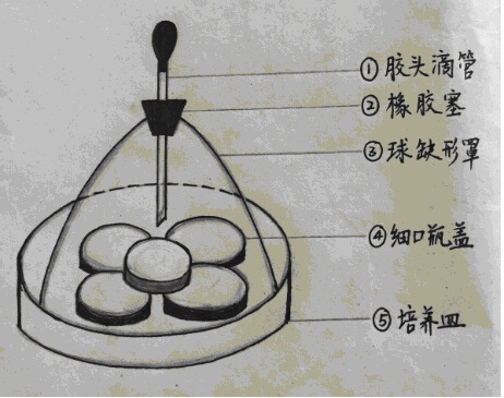 yy.jpg