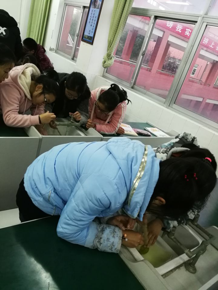 QQ鍥剧墖20171121151344.jpg QQ鍥剧墖20171121151344.jpg