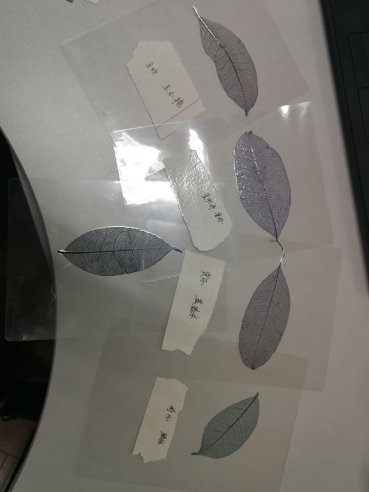 QQ鍥剧墖20171121151407.jpg QQ鍥剧墖20171121151407.jpg