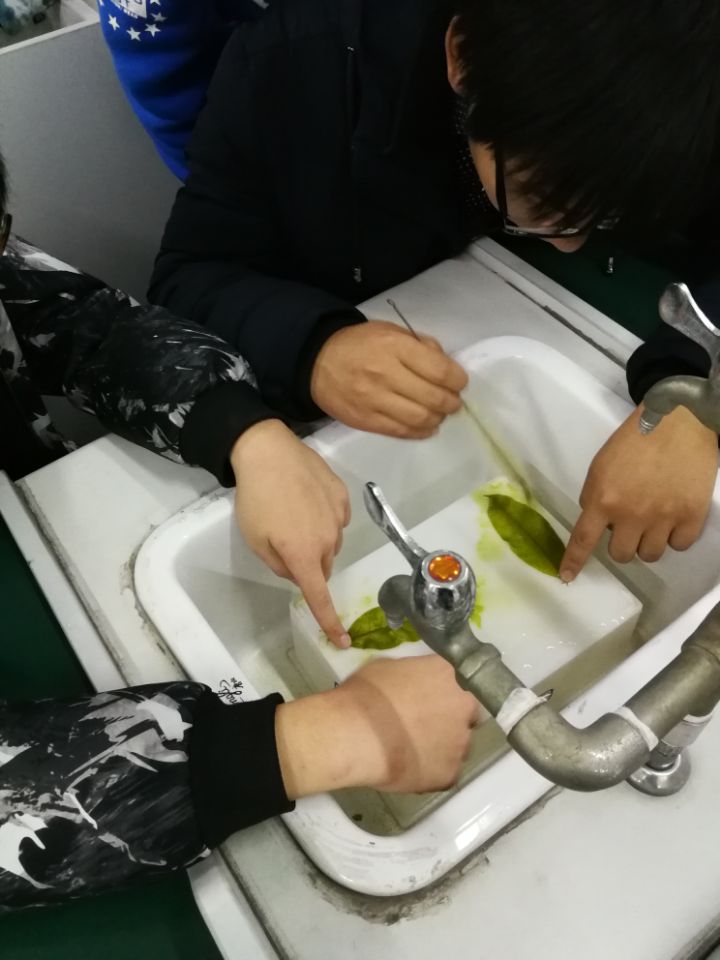 QQ鍥剧墖20171121151353.jpg QQ鍥剧墖20171121151353.jpg