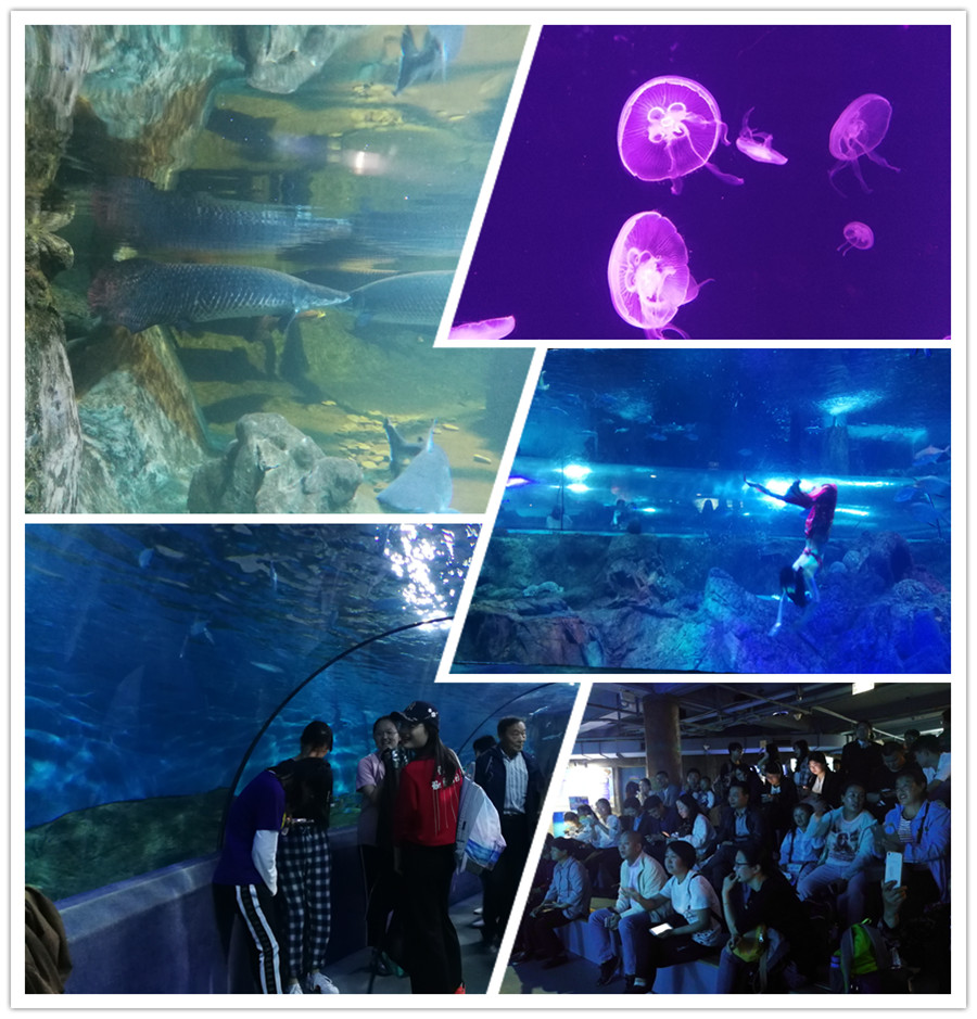 海洋馆2.jpg